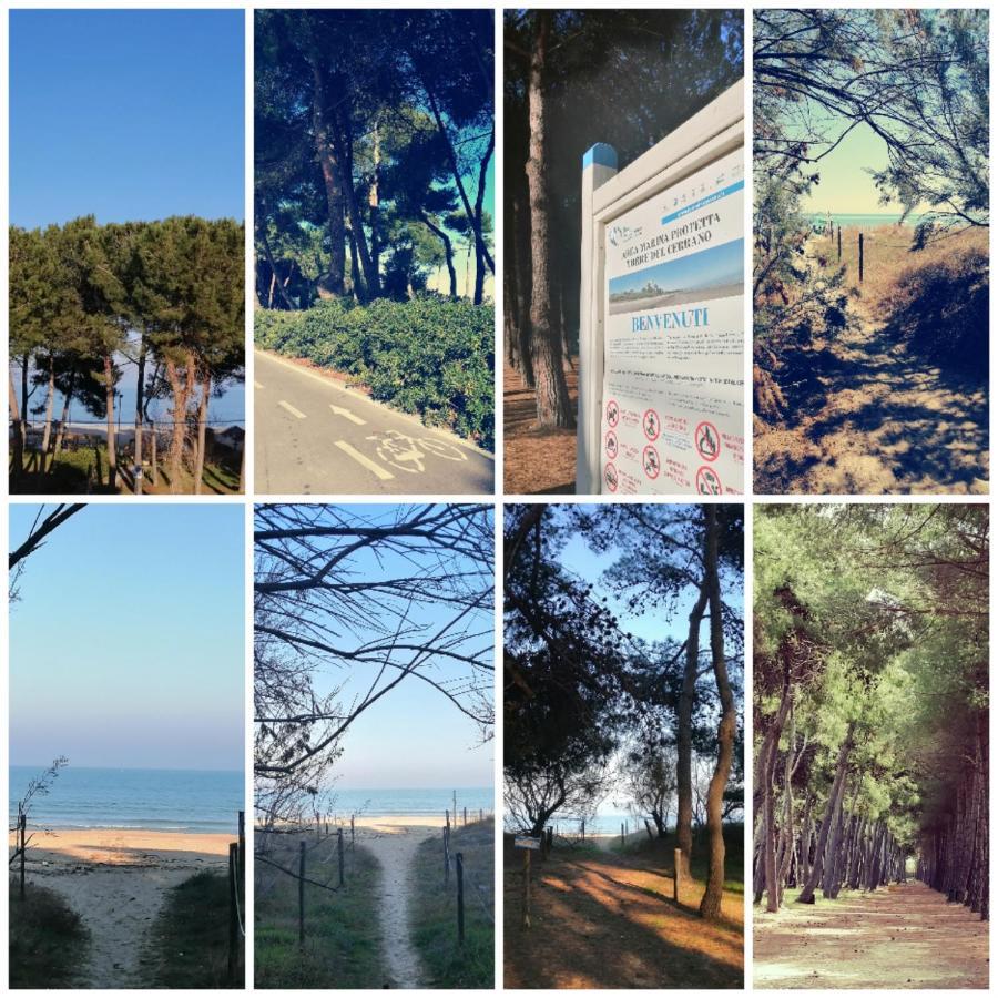 Hotel Petit Silvi Marina Εξωτερικό φωτογραφία