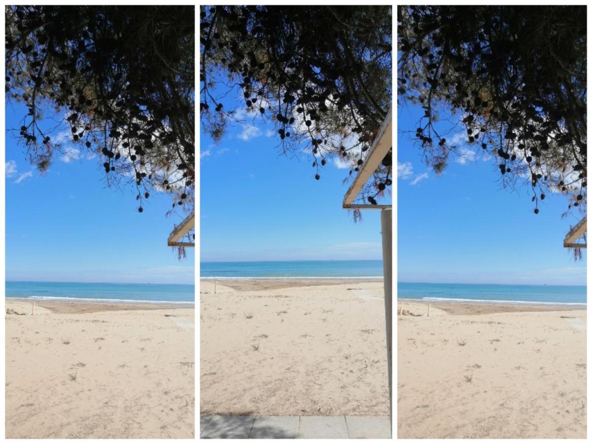 Hotel Petit Silvi Marina Εξωτερικό φωτογραφία
