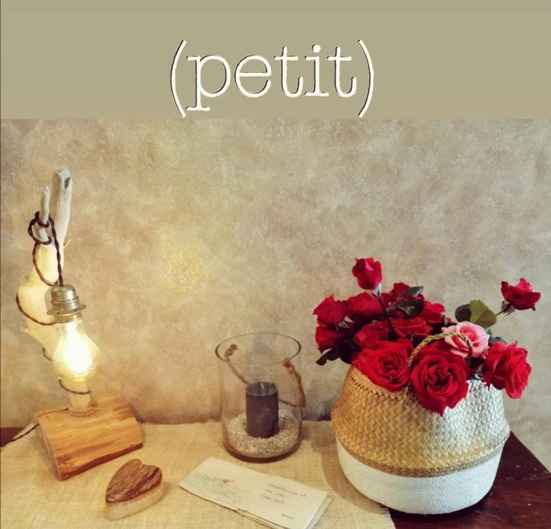 Hotel Petit Silvi Marina Εξωτερικό φωτογραφία