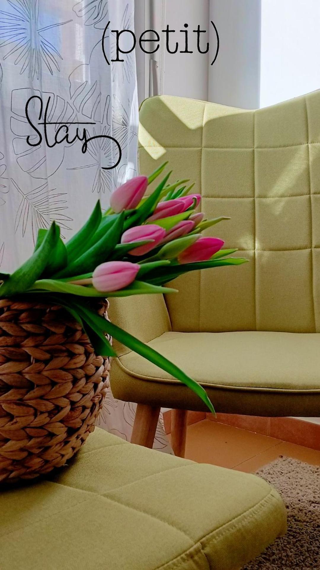 Hotel Petit Silvi Marina Εξωτερικό φωτογραφία