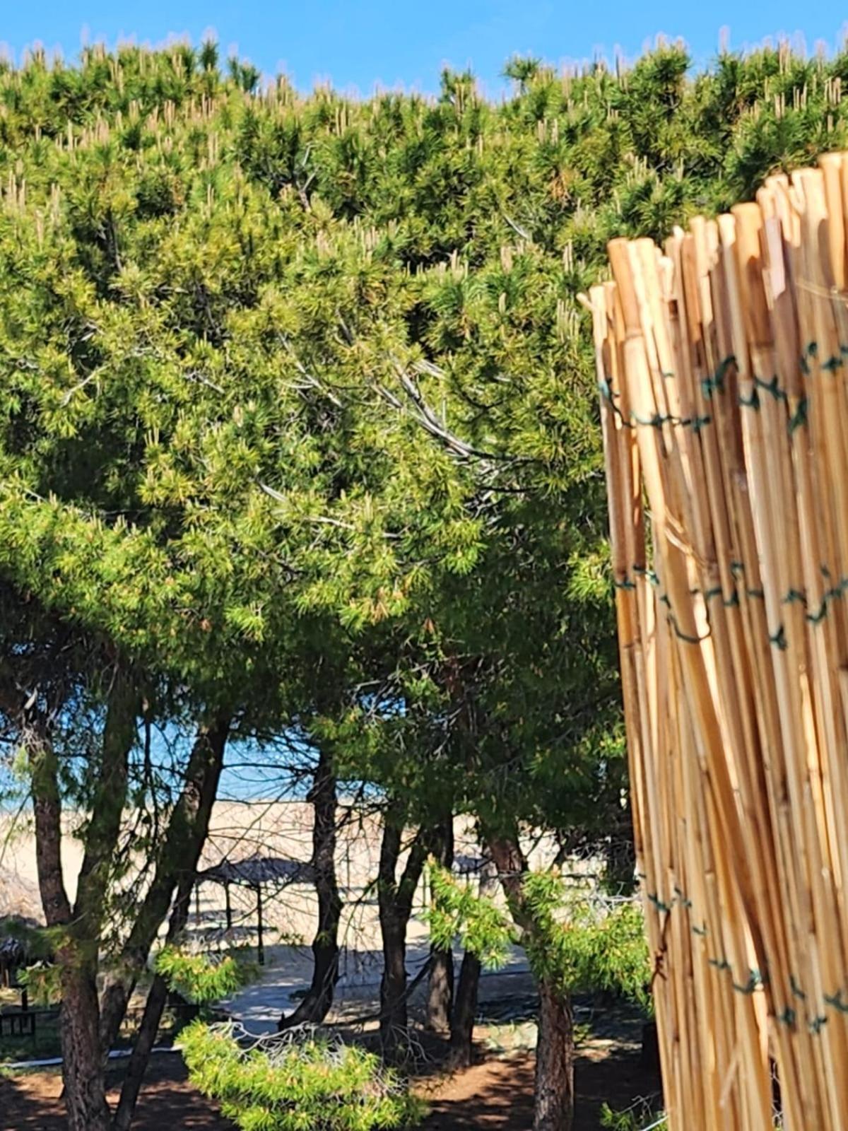 Hotel Petit Silvi Marina Εξωτερικό φωτογραφία