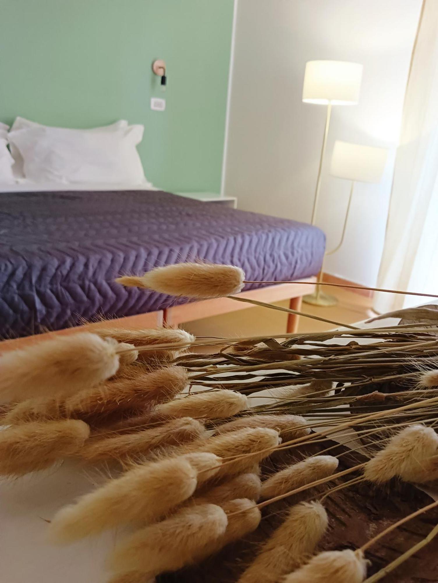 Hotel Petit Silvi Marina Εξωτερικό φωτογραφία