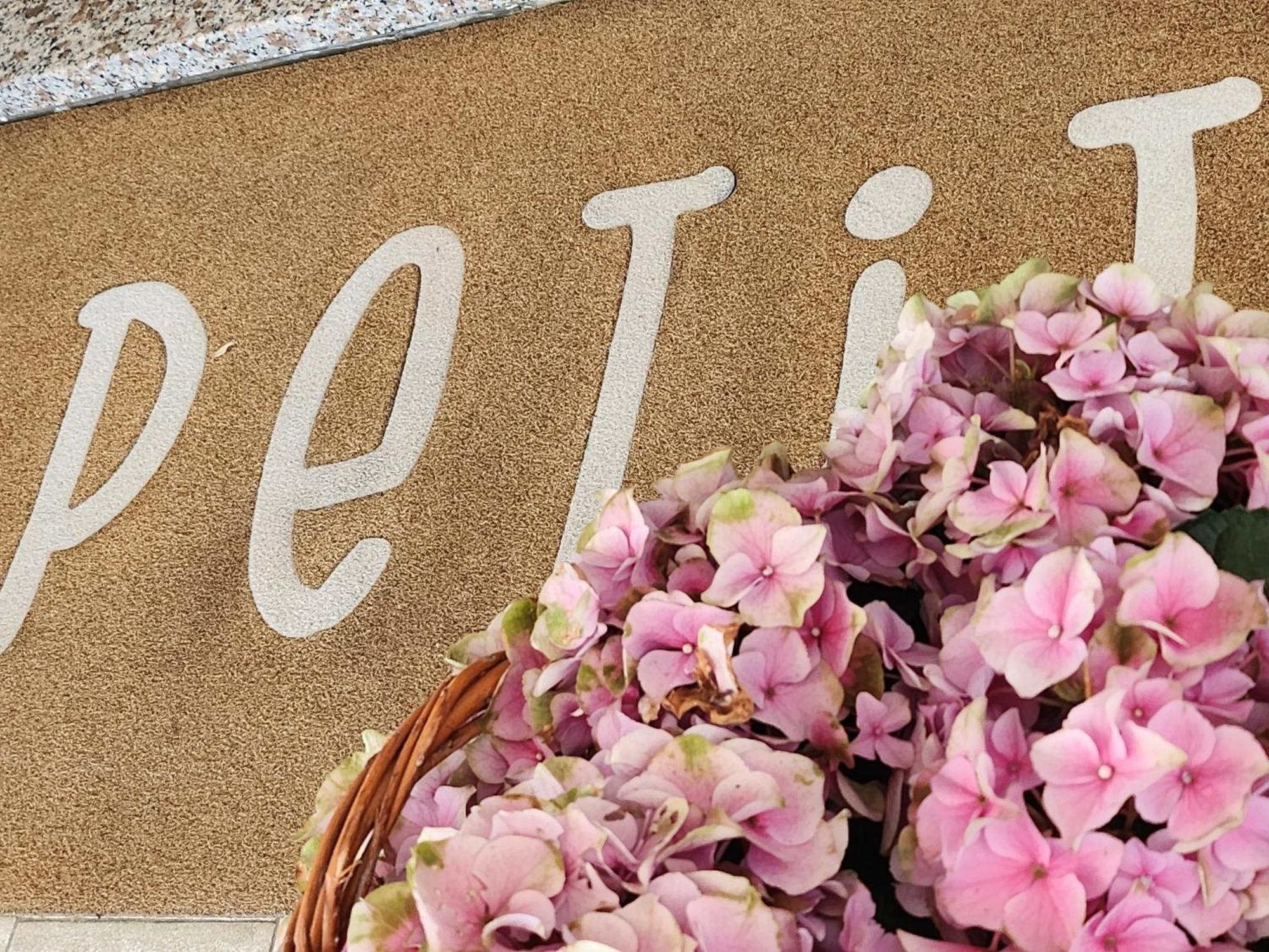 Hotel Petit Silvi Marina Εξωτερικό φωτογραφία