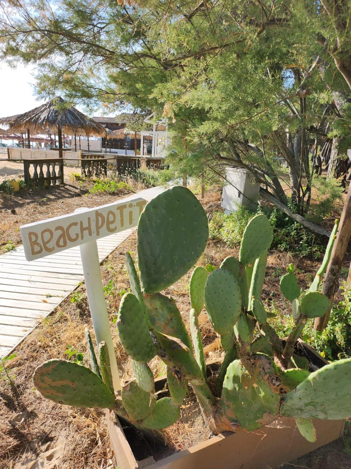 Hotel Petit Silvi Marina Εξωτερικό φωτογραφία