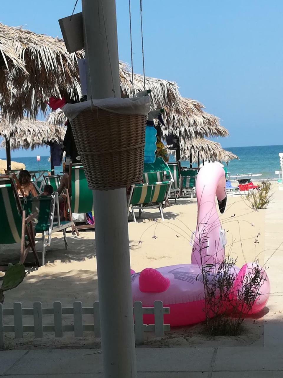 Hotel Petit Silvi Marina Εξωτερικό φωτογραφία