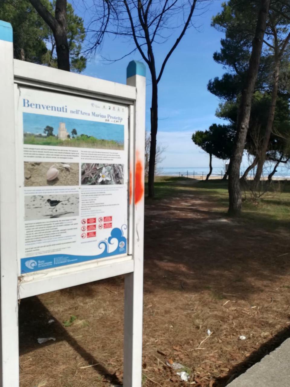 Hotel Petit Silvi Marina Εξωτερικό φωτογραφία