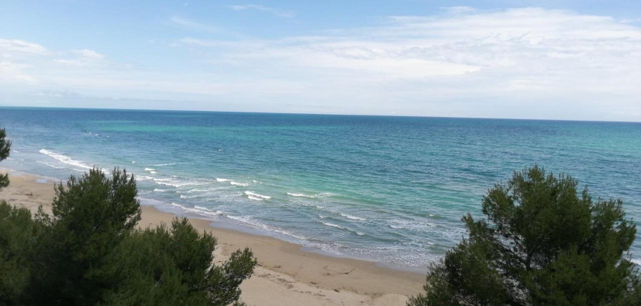 Hotel Petit Silvi Marina Εξωτερικό φωτογραφία